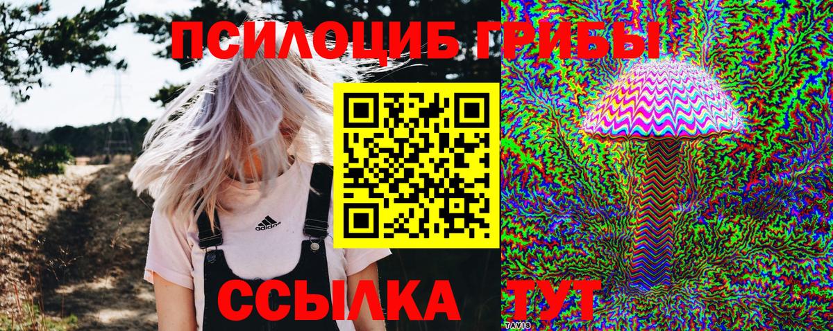 Галлюциногенные грибы GOLDEN TEACHER  Вход с VPN  Заволжье 